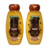 Garnier Whole Blends Honey Treasures Shampoo 370ml - Image 2